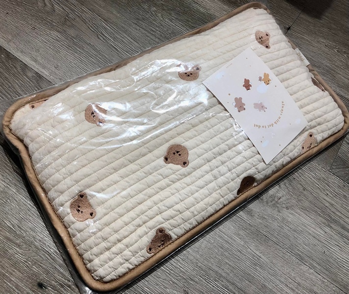 Dottodot Gối mỏng Air pillow Gấu viền nâu