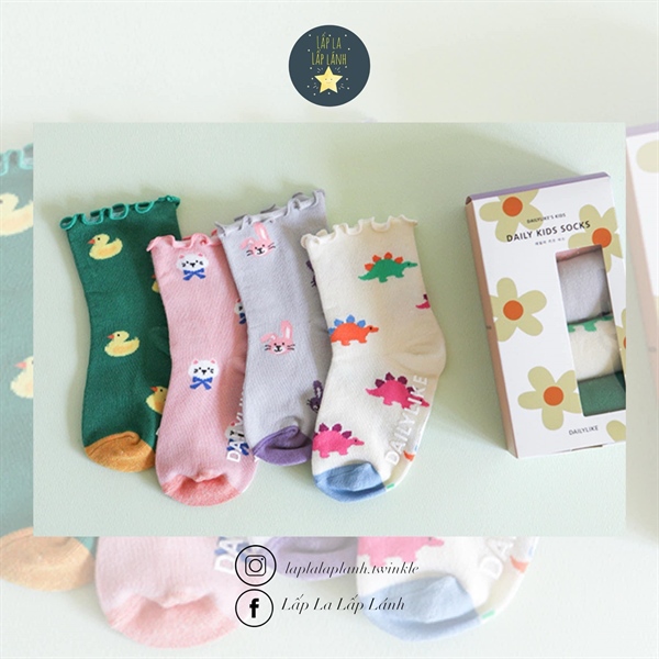 Dailylike set 4 vớ mẫu 12 size M