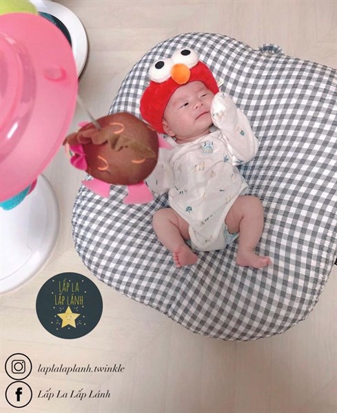 Rototobebe Vỏ gối chống trào Caro Gray