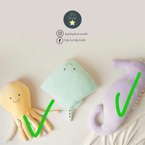 CoaaCoaa Cá ngựa 85cm