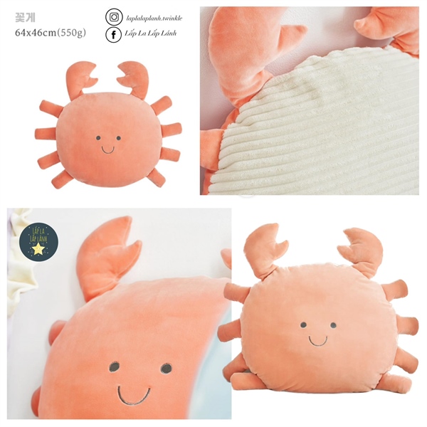 CoaaCoaa Con cua 64cm