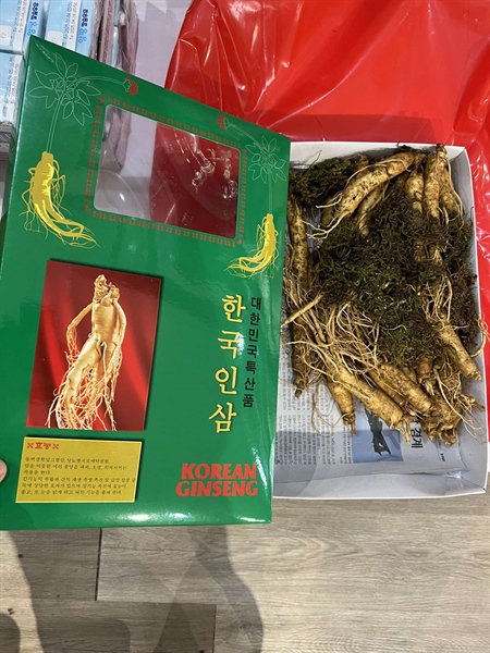 Sâm tươi 20-30 củ Hàn Quốc