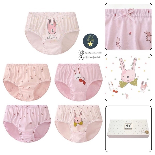Dingdongdang Set quần chip 5p Thỏ hồng size 60