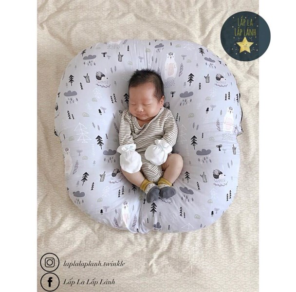 Rototobebe Vỏ gối chống trào Gấu xanh