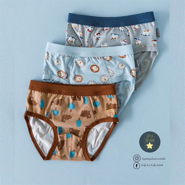 Dailylike Set quần chip tam giác Boy 1 size 60 3-4y