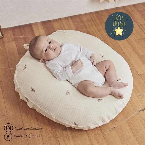 Rototobebe Vỏ gối chống trào AIRMESH Cún