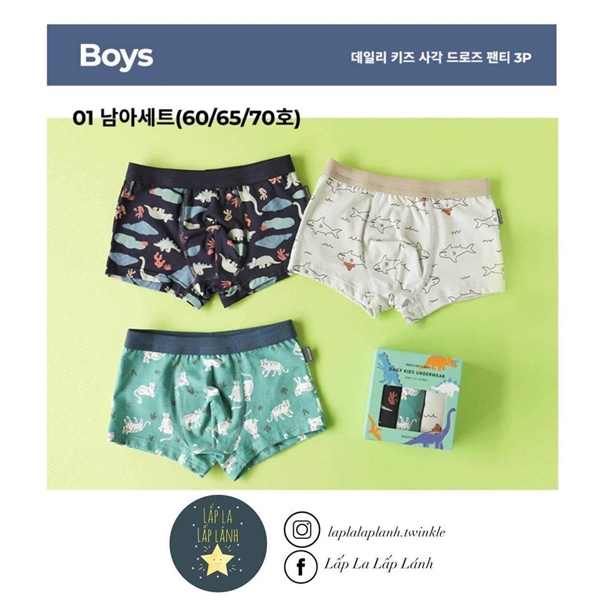 Dailylike Set quần chip Boy 1 size 75 8-9y