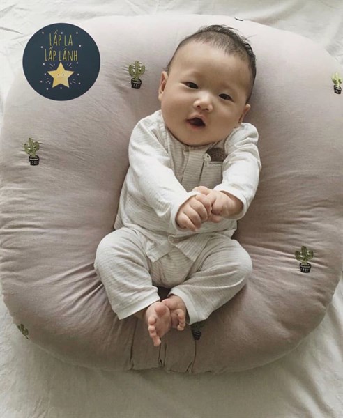 Rototobebe Vỏ gối chống trào Xương rồng