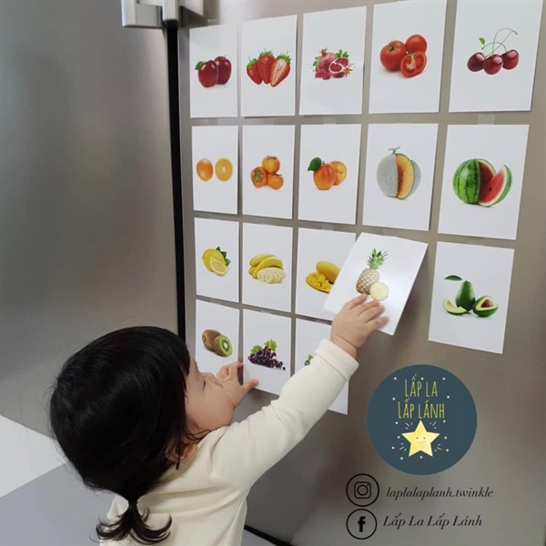 Flash Card Fruits size Lớn