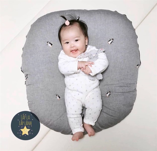 Rototobebe Vỏ gối chống trào Cánh cụt