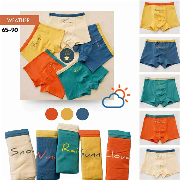 Bulledor Set chip đùi Weather size 80