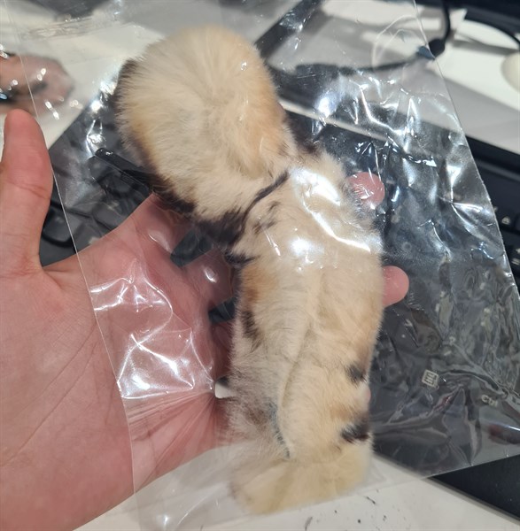 Handmade Kẹp lông mom mẫu 1