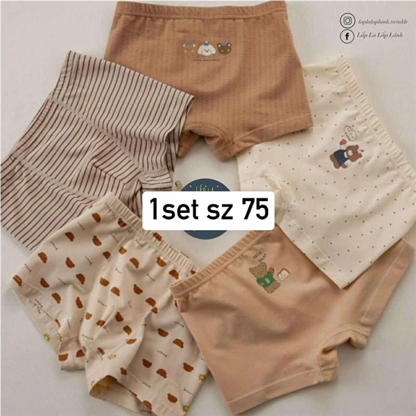 Bulledor Set chip đùi 5p Hi bear size 75