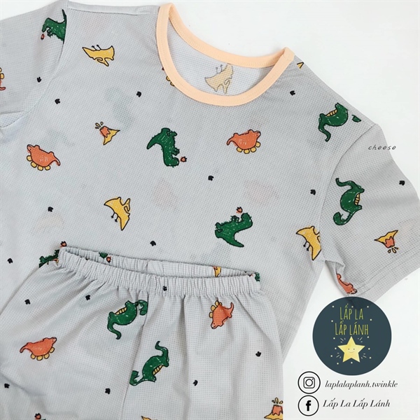 Cheese Đồ bộ CH6 size 100